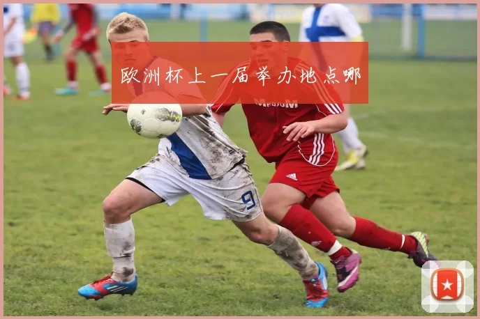 欧洲杯上一届举办地点哪