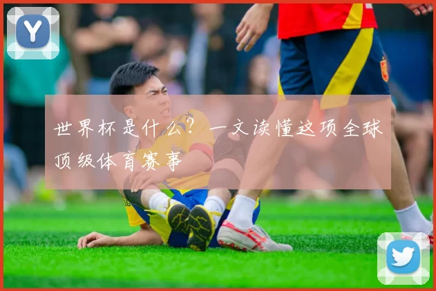世界杯是什么?一文读懂这项全球顶级体育赛事