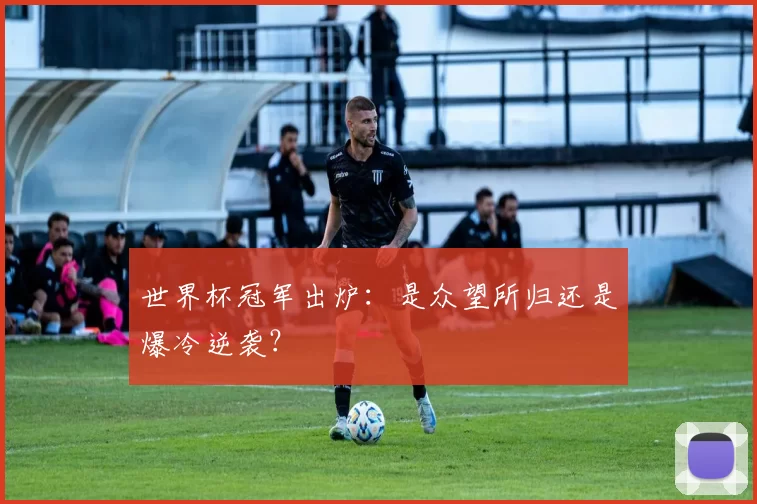 世界杯冠军出炉:是众望所归还是爆冷逆袭?