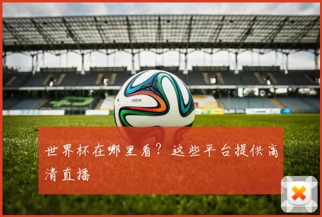 世界杯在哪里看?这些平台提供高清直播