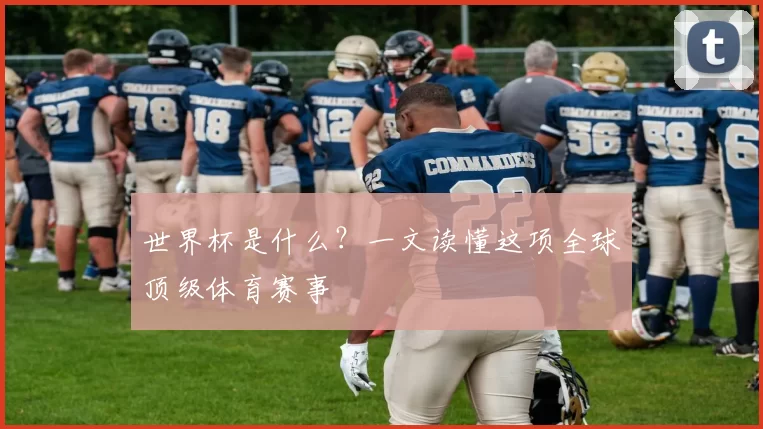 世界杯是什么?一文读懂这项全球顶级体育赛事