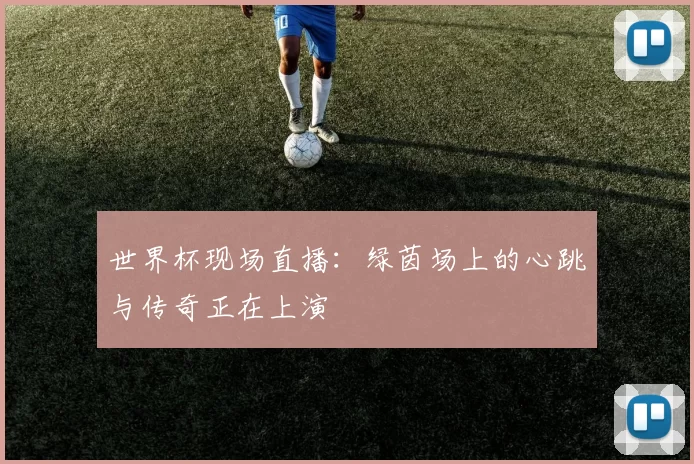 世界杯现场直播:绿茵场上的心跳与传奇正在上演