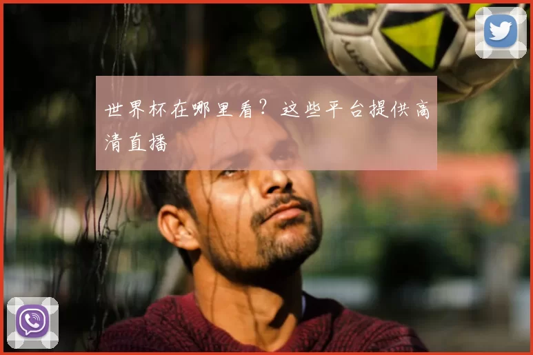 世界杯在哪里看?这些平台提供高清直播