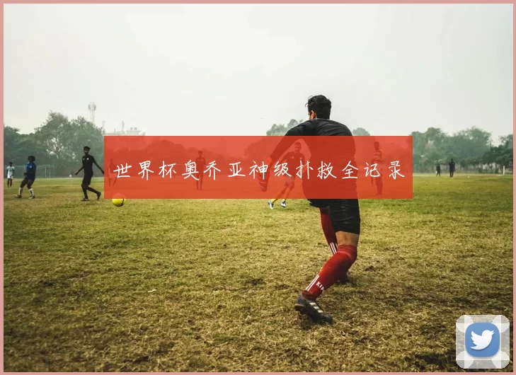 世界杯奥乔亚神级扑救全记录
