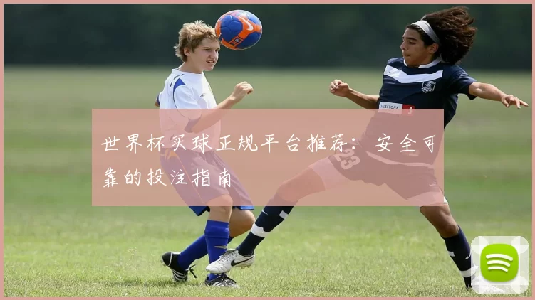 世界杯买球正规平台推荐:安全可靠的投注指南