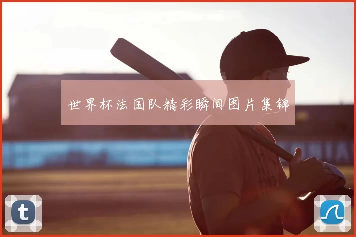 世界杯法国队精彩瞬间图片集锦