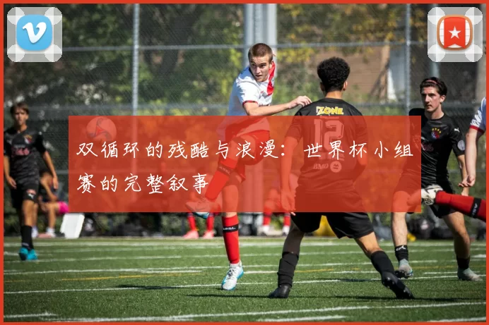 双循环的残酷与浪漫：世界杯小组赛的完整叙事