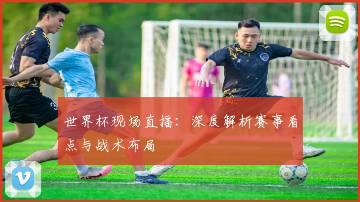 世界杯现场直播:深度解析赛事看点与战术布局