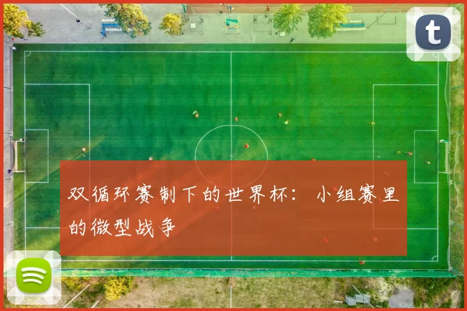 双循环赛制下的世界杯:小组赛里的微型战争