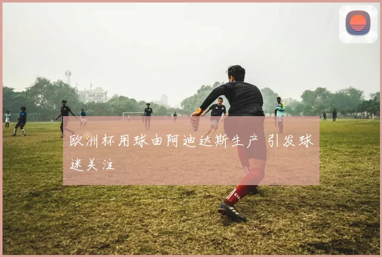 欧洲杯用球由阿迪达斯生产 引发球迷关注